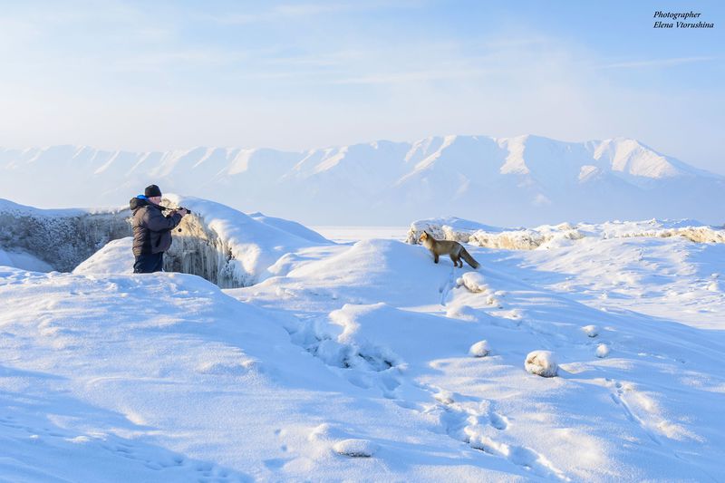 Фото-тур «Вдоль Святого Носа Байкала» Лед Байкала