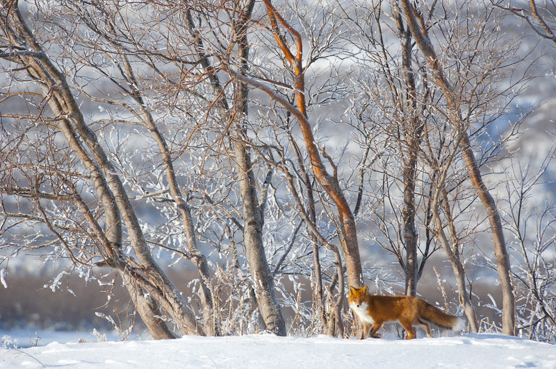 Туристская программа  «Танхой – радуга рассвета Байкала» Байкал заповедный 